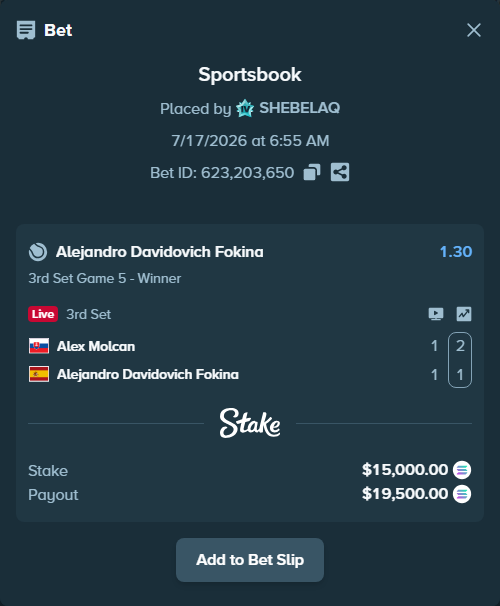 Bet slip: Alex Molcan - Alejandro Davidovich Fokina, $14,355.96 stake at 1.30 odds, placed by SHEBELAQ