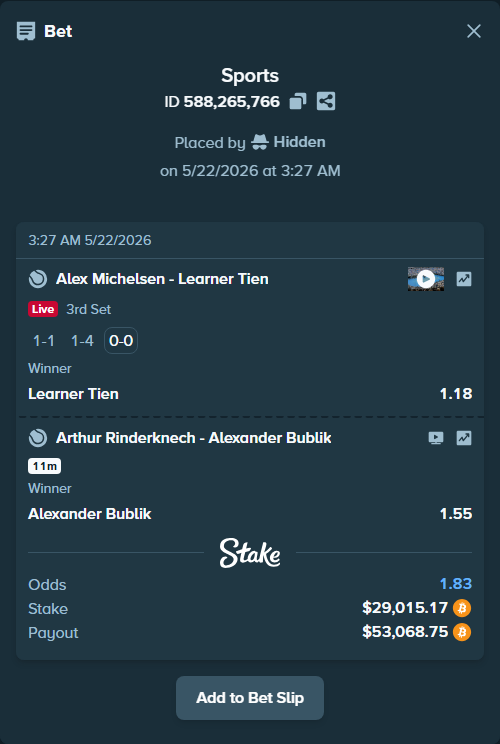 Bet slip: Arthur Rinderknech - Alexander Bublik, $23,947.79 stake at 1.55 odds, placed by Hidden