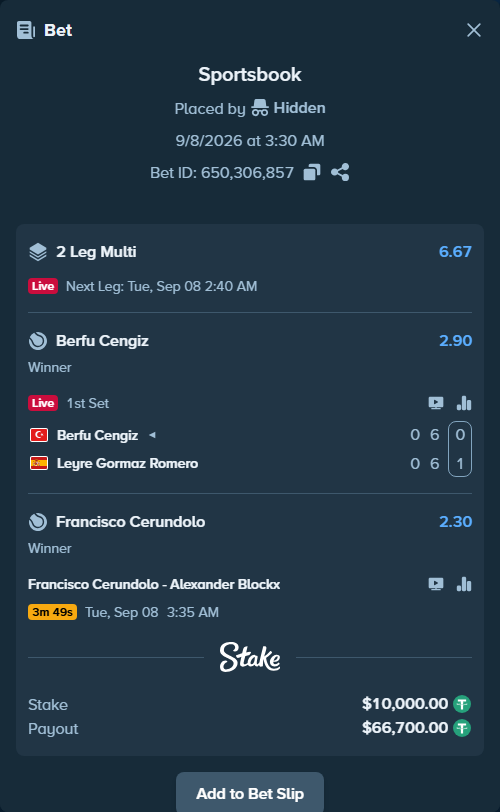 Bet slip: Berfu Cengiz - Leyre Gormaz Romero, $10,000.00 stake at 2.90 odds, placed by Hidden