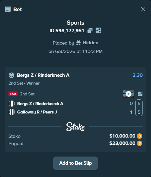 Bet slip: Bergs Z / Rinderknech A - Galloway R / Peers J, $10,138.41 stake at 2.30 odds, placed by Hidden