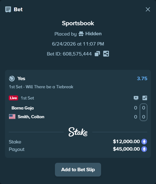 Bet slip: Borna Gojo - Colton Smith, $11,394.18 stake at 3.75 odds, placed by Hidden