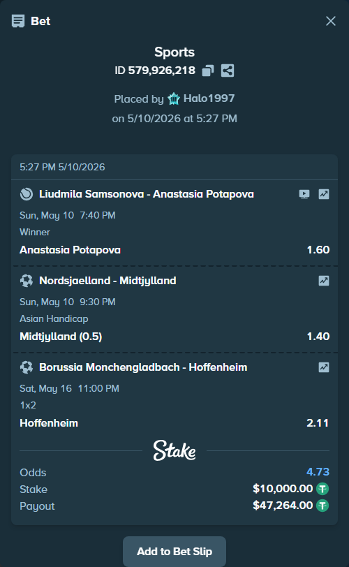Bet slip: Borussia Monchengladbach - Hoffenheim, $10,000.00 stake at 2.11 odds, placed by Halo1997