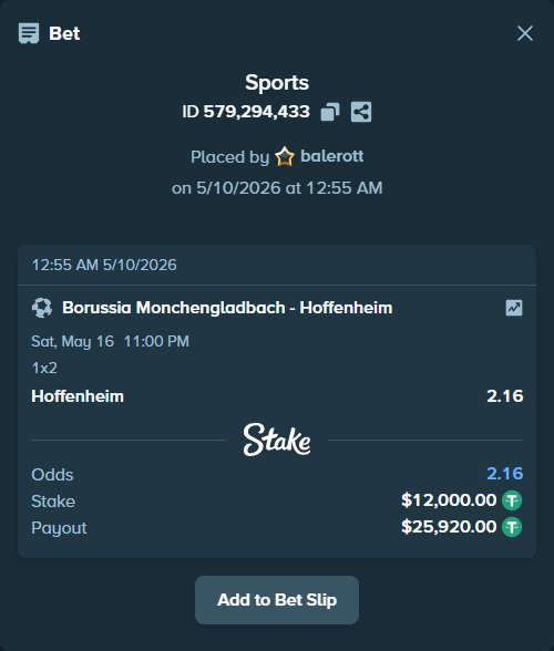 Bet slip: Borussia Monchengladbach - Hoffenheim, $12,000.00 stake at 2.16 odds, placed by balerott