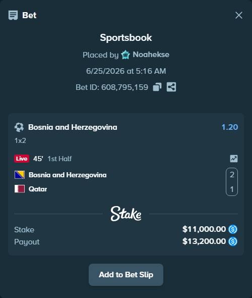 Bet slip: Bosnia and Herzegovina - Qatar, $11,000.00 stake at 1.20 odds, placed by Noahekse