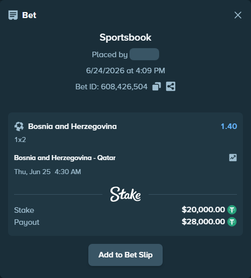 Bet slip: Bosnia and Herzegovina - Qatar, $20,020.00 stake at 1.40 odds, placed by Erfanabol