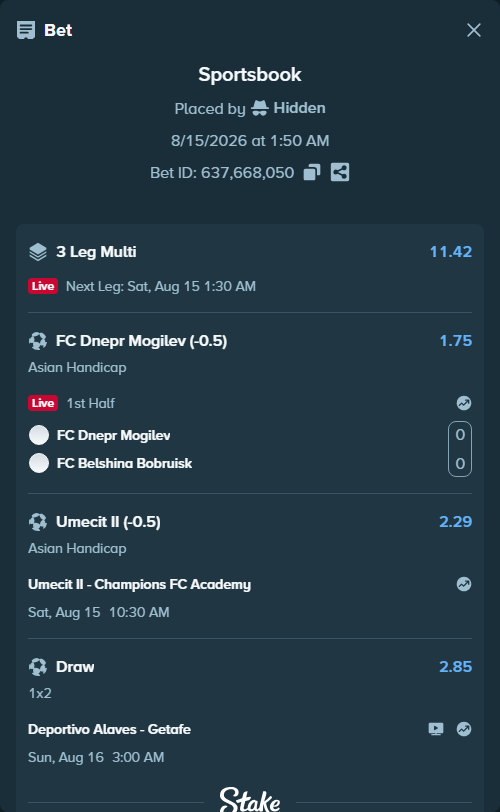 Bet slip: FC Dnepr Mogilev - FC Belshina Bobruisk, $15,196.46 stake at 1.75 odds, placed by Hidden