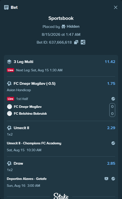 Bet slip: FC Dnepr Mogilev - FC Belshina Bobruisk, $27,506.43 stake at 1.75 odds, placed by Hidden