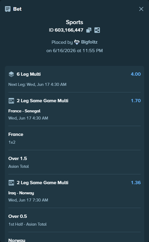Bet slip: France - Senegal, $33,291.95 stake at 1.46 odds, placed by Bigfoltz