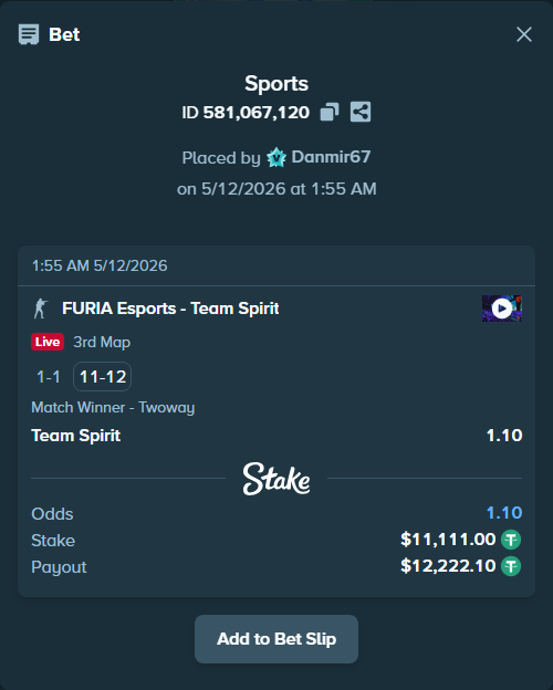 Bet slip: FURIA Esports - Team Spirit, $11,111.00 stake at 1.10 odds, placed by Danmir67