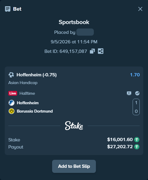 Bet slip: Hoffenheim - Borussia Dortmund, $16,000.00 stake at 1.70 odds, placed by lvlv2003