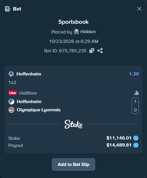 Bet slip: Hoffenheim - Olympique Lyonnais, $11,146.01 stake at 1.30 odds, placed by Hidden