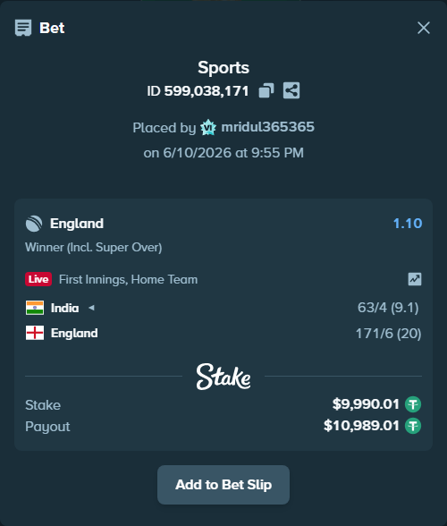 Bet slip: India - England, $10,000.00 stake at 1.10 odds, placed by mridul365365