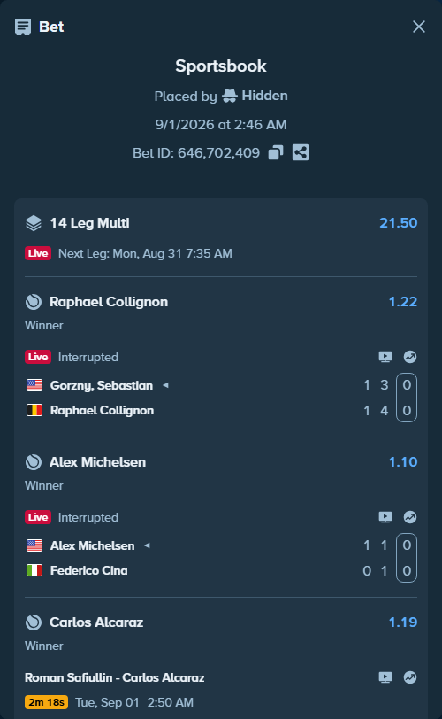 Bet slip: Jakub Mensik - Shintaro Mochizuki, $20,000.00 stake at 1.09 odds, placed by Hidden