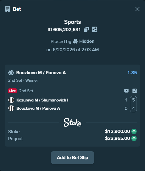 Bet slip: Kozyreva M / Shymanovich I - Bouzkova M / Panova A, $12,912.90 stake at 1.85 odds, placed by Hidden