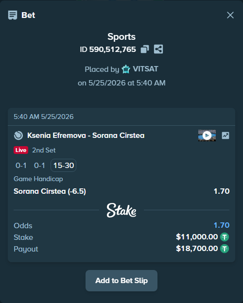 Bet slip: Ksenia Efremova - Sorana Cirstea, $11,000.00 stake at 1.70 odds, placed by VITSAT