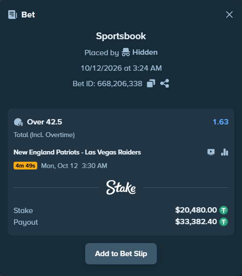 Bet slip: New England Patriots - Las Vegas Raiders, $20,500.48 stake at 1.63 odds, placed by Hidden