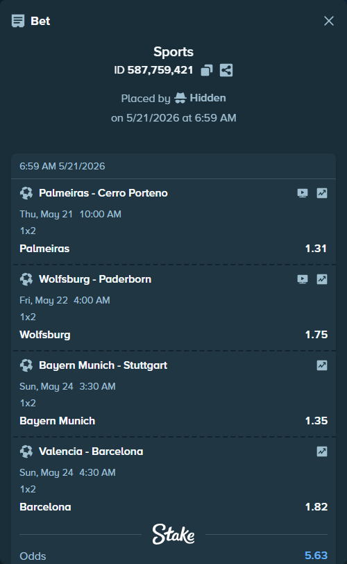 Bet slip: Palmeiras - Cerro Porteno, $9,203.24 stake at 1.31 odds, placed by Hidden