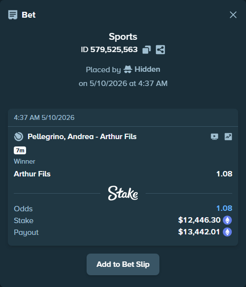 Bet slip: Pellegrino, Andrea - Arthur Fils, $9,262.12 stake at 1.08 odds, placed by Hidden