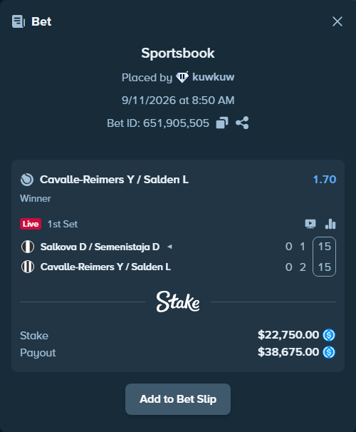 Bet slip: Salkova D / Semenistaja D - Cavalle-Reimers Y / Salden L, $22,750.00 stake at 1.70 odds, placed by kuwkuw