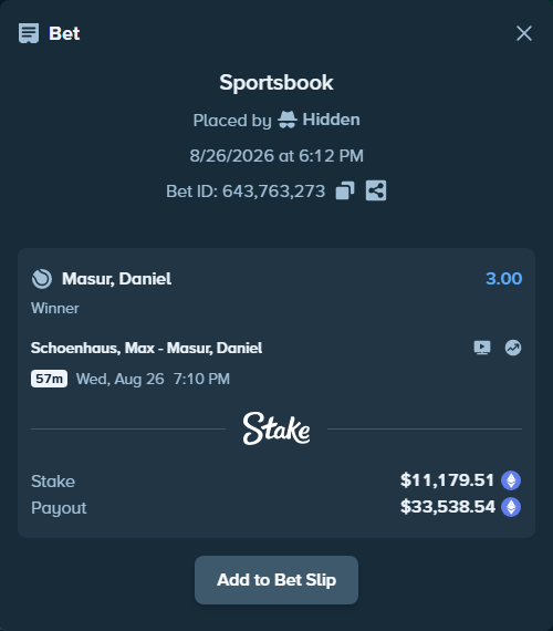 Bet slip: Schoenhaus, Max - Masur, Daniel, $11,125.22 stake at 3.00 odds, placed by Hidden