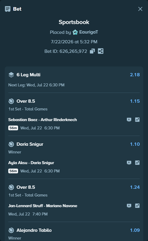 Bet slip: Sebastian Baez - Arthur Rinderknech, $25,799.28 stake at 1.15 odds, placed by EaurigaT