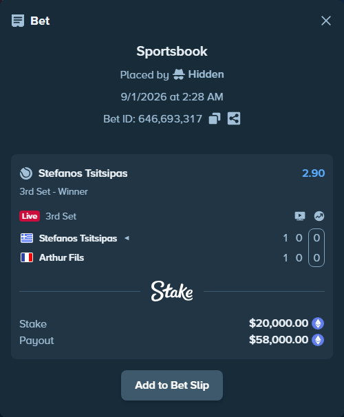 Bet slip: Stefanos Tsitsipas - Arthur Fils, $20,003.92 stake at 2.90 odds, placed by Hidden