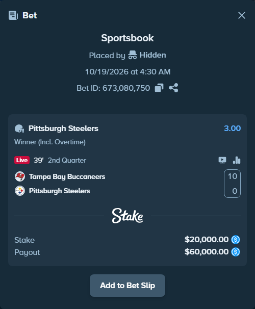 Bet slip: Tampa Bay Buccaneers - Pittsburgh Steelers, $20,000.00 stake at 3.00 odds, placed by Hidden