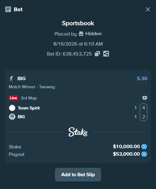 Bet slip: Team Spirit - BIG, $10,000.00 stake at 5.30 odds, placed by Hidden