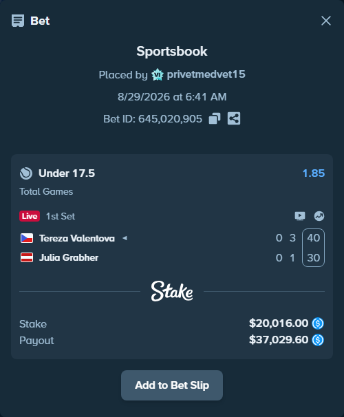Bet slip: Tereza Valentova - Julia Grabherotball, $20,016.00 stake at 1.85 odds, placed by privetmedvet15
