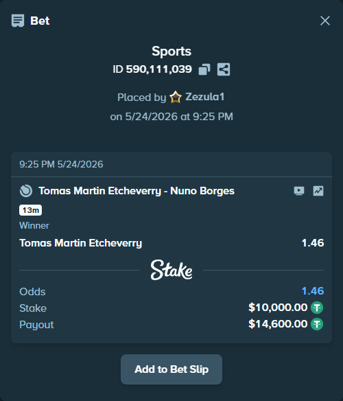 Bet slip: Tomas Martin Etcheverry - Nuno Borges, $10,000.00 stake at 1.46 odds, placed by Zezula1