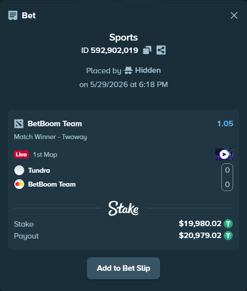 Bet slip: Tundra - BetBoom Team, $20,000.00 stake at 1.05 odds, placed by Hidden