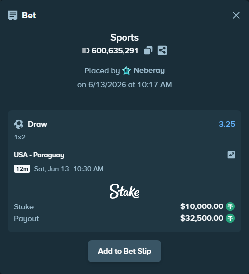 Bet slip: USA - Paraguay, $10,010.00 stake at 3.25 odds, placed by Neberay