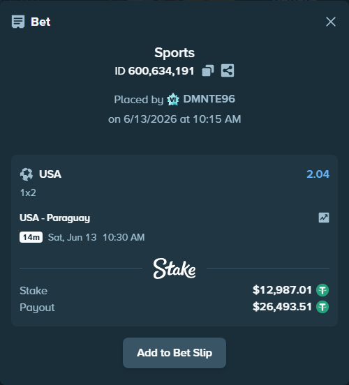 Bet slip: USA - Paraguay, $13,000.00 stake at 2.04 odds, placed by DMNTE96