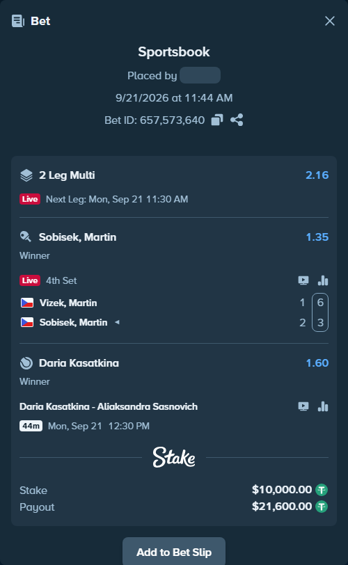 Bet slip: Vizek, Martin - Sobisek, Martin, $10,000.00 stake at 1.35 odds, placed by Bigwin100k